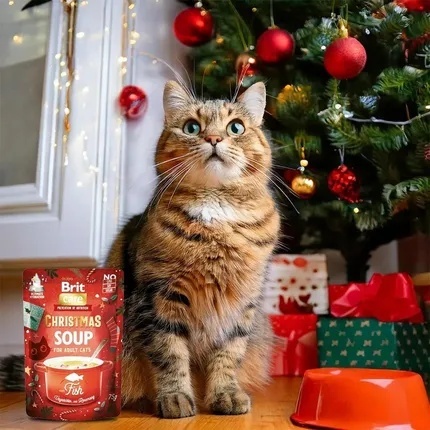 Brit CARE CAT Świąteczne Zupki MULTIPACK Mix smaków 15x75g