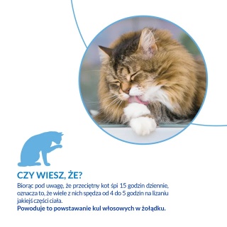 Inaba Cat Churu Hairball Salmon -przysmaki odkłaczające łosoś - 4x14g (56g)