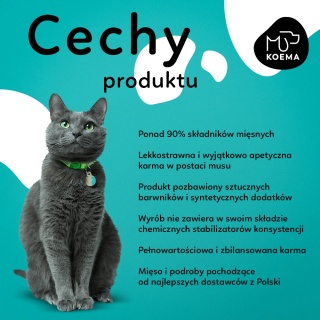 Koema Mus dla kota łosoś 200g