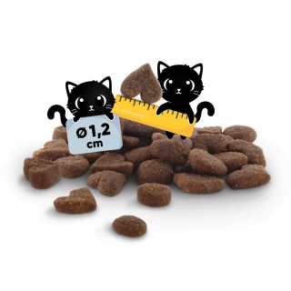 Lucky Lou drób dziczyzna - karma sucha dla kota 340g