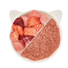 WOW CAT Huhn Lachs - kurczak z łososiem dla dorosłych kotów (200g)