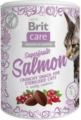 BRIT CARE CAT Snack Superfruits Salmon 100g, przysmak dla kota łosoś 100g