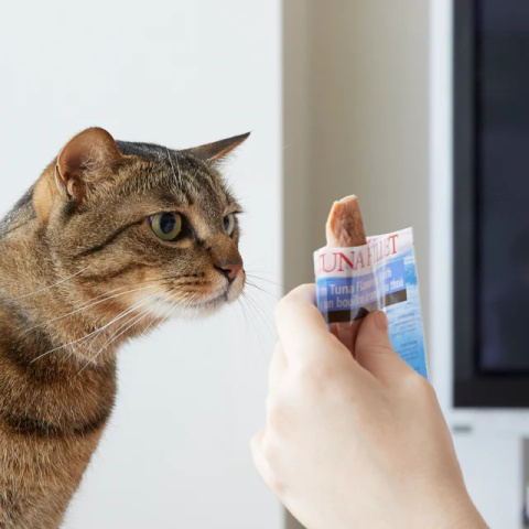INABA CIAO Grillowany filet z tuńczyka w bulionie kalmarowym 15g INABA CIAO Grillowany filet z tuńczyka w bulionie kalmarowym 15g