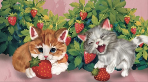 Kocia wizytówka - Lipiec - Gratis Kocia wizytówka - Lipiec - Gratis