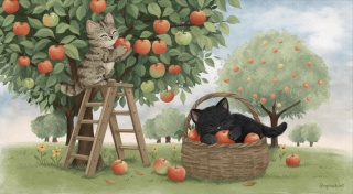 Kocia wizytówka - Wrzesień - Gratis