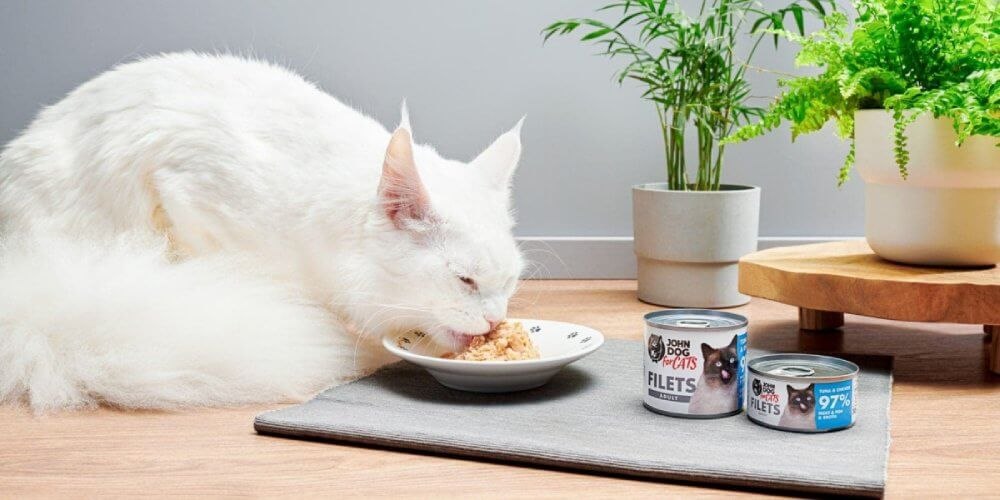 Karma z łososiem dla kota John Dog for Cats