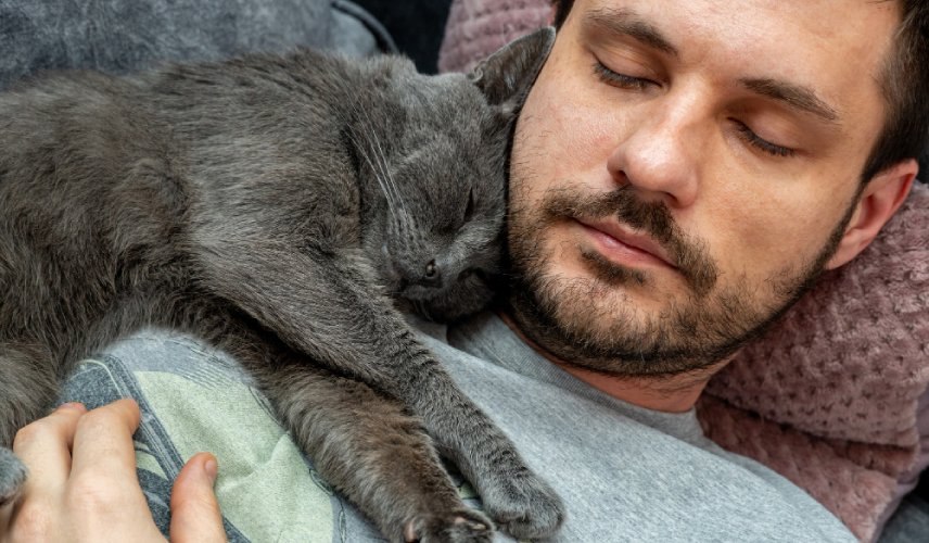 Kot śpiący przy głowie odpoczywającego mężczyzny