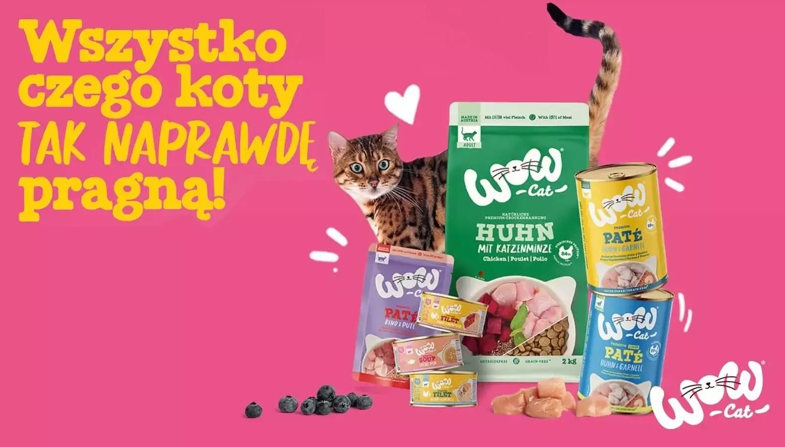 wow-czego-pragna-koty-karmy